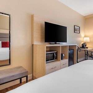 Quadruple Room Disability Access